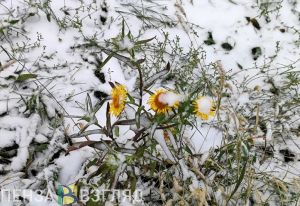 Ведущий специалист центра погоды «Фобос» сделала прогноз для Пензы