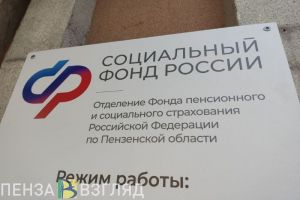 Названы самые популярные электронные услуги Соцфонда в Пензенской области
