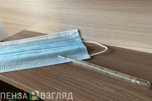 В селах Бессоновского района выявлены очаги кори