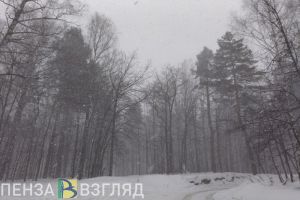 Александр Басенко обратился к пензенцам в связи с продолжительным снегопадом