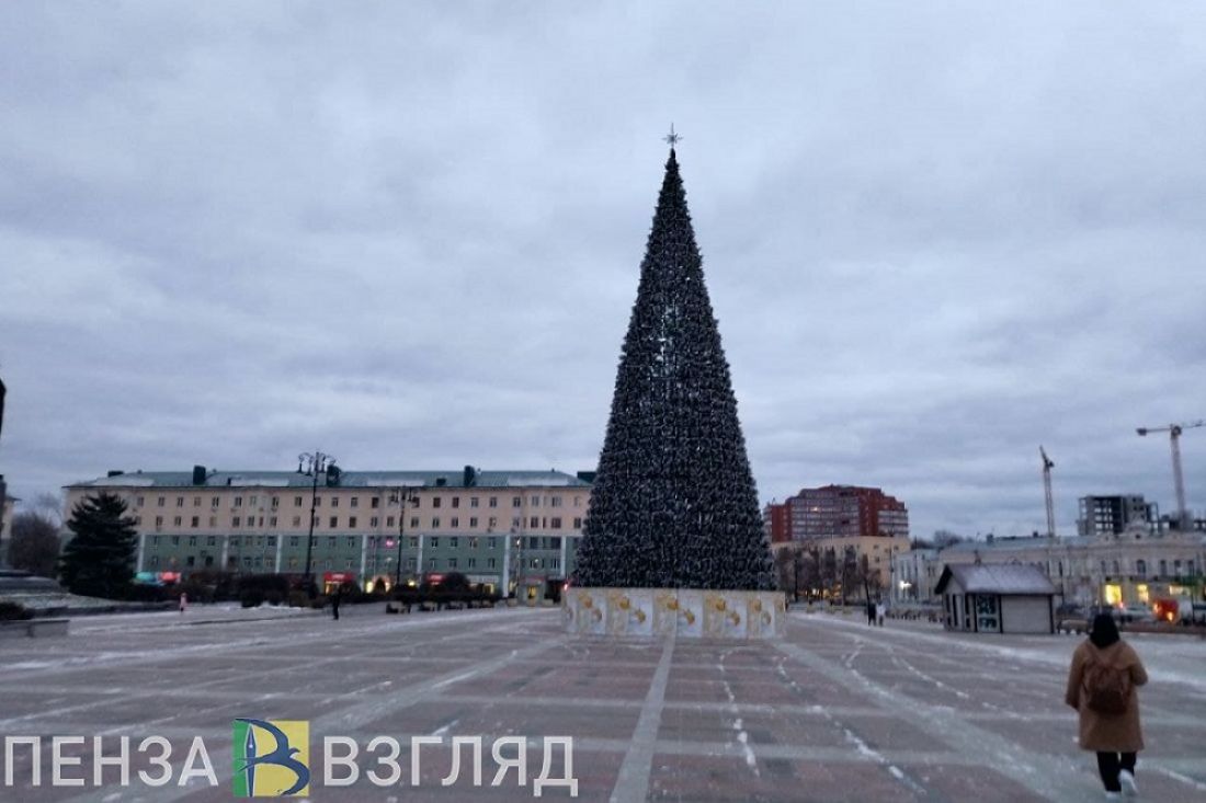 На площади Ленина в Пензе установят домик Деда Мороза