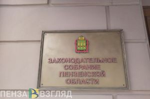Больше пензенских IT-компаний и рост зарплат: что даст принятие Заксобром нового закона