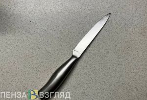 Рассказ пензенца об убийстве слышали соседка, таксист и девушка на лавочке