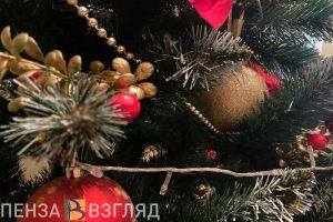 В Пензе будет установлено более 50 новогодних елей