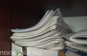 В Пензенской области 230 деклараций на зерно признаны недействительными