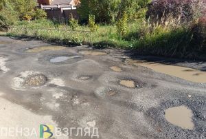 Дорогу на улице Озерной в Пензе пообещали включить в муниципальный реестр