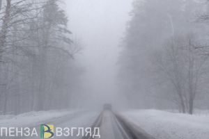 Пензенцев предупредили о временных ограничениях в движении на трассе М-5