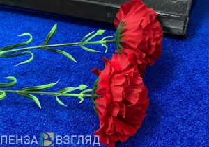 В Пензе может появиться единый мемориал в память о погибших участниках СВО