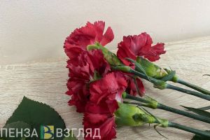 Скончался пензенский архитектор Лев Ходос