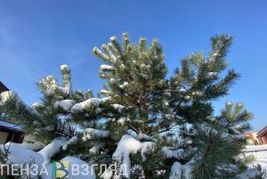 В Пензенской области в воскресенье прогнозируется +3 градуса