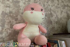 Пензячкам рассказали о важности планирования беременности