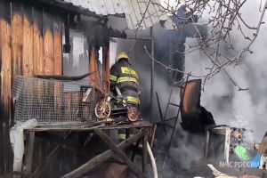 В Пензе на улице Демьяна Бедного из горящей бани спасли мужчину