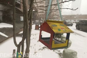 Снег с дождем прогнозируют жителям Пензенской области на 28 ноября