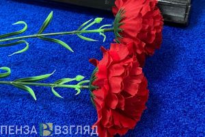 В Пензе 3 декабря проведут мероприятия ко Дню неизвестного солдата