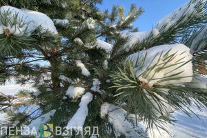 Жителям Пензенской области обещают -10 градусов и снег 1 декабря