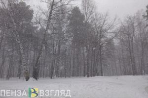 Синоптики спрогнозировали сильный снег и гололедицу в Пензенской области