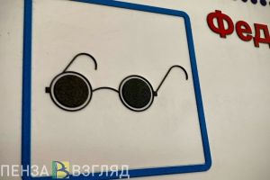 Пензенская область присоединилась к акции Тотальный тест «Доступная среда»