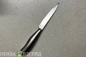 В Пензенской области пенсионер пырнул ножом брата за слова о свадьбе внучки