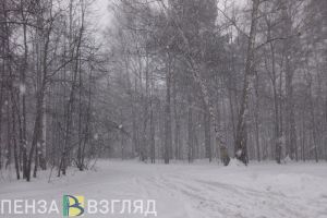 На выходных пензенцев ожидает испытание непогодой