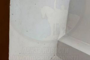 Родители сообщают о нашествии комаров в детском саду