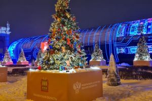 На ВДНХ зажгли огни на пензенской елке