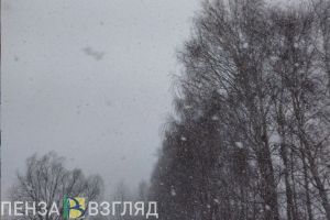 В Пензенской области ожидается желтый уровень погодной опасности 3 декабря