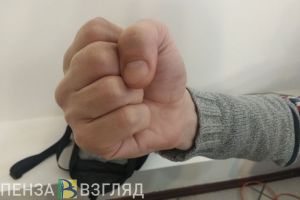 Мужчина из Бессоновки напился, буянил и ударил представителя власти