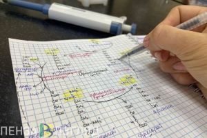 Выпускников пензенского медвуза предложили распределять