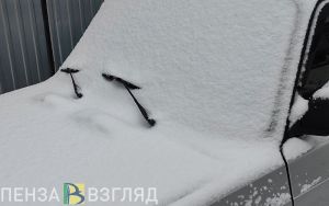 За три дня в Пензенской области пойманы 26 нетрезвых водителей