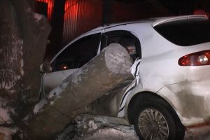 Появилось видео с места ДТП с машиной, врезавшейся в дерево в Пензе