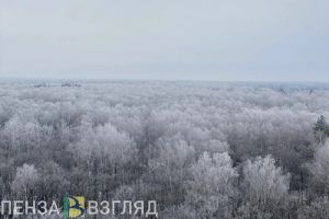 14 градусный мороз и метель ожидаются в Пензенской области 5 декабря