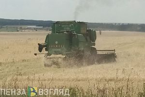 В 2023 году из Пензенской области экспортировали 58 тысяч тонн зерна