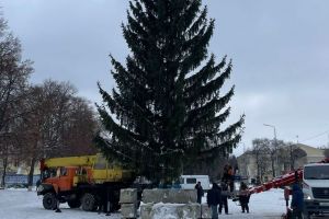 Житель Кузнецка подарил городу 12-метровую ель