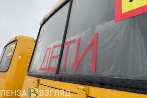 Пензенцы узнали, каким еще способом законодатели хотят увеличить рождаемость