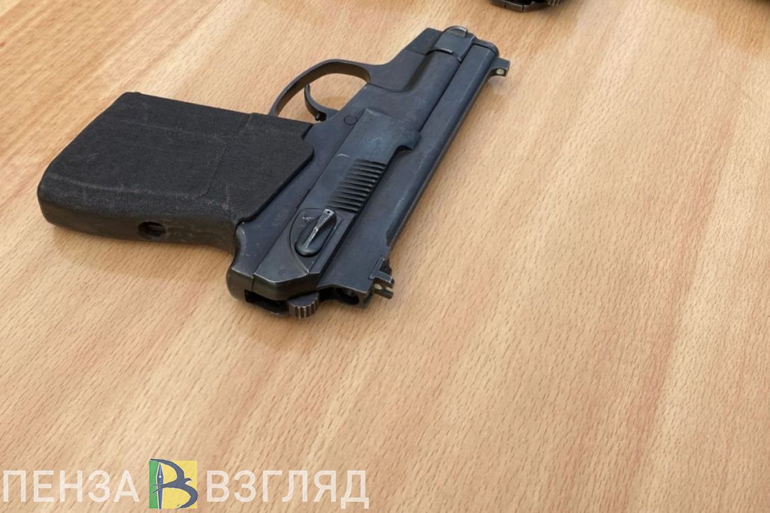 В Каменском районе к пенсионеру ворвались с пистолетом и начали стрелять