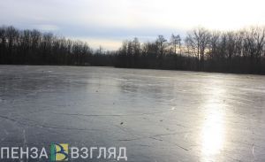 В Башмаковском районе на берегу пруда нашли тело мужчины