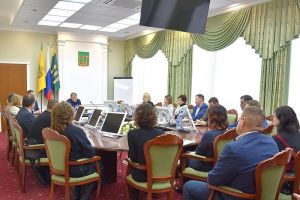 Басенко поговорил с пензенскими промышленниками об уборке снега и Новом годе
