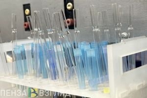 Пензенцам стало известно, кто более подвержен заражению микоплазменной инфекцией