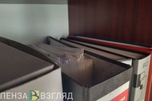 Для пензенских алиментщиков могут ввести новые ограничения
