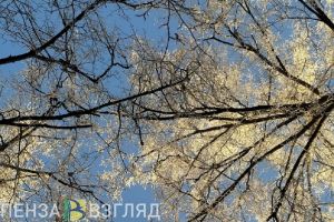 Из-за морозов в Пензенской области введен режим повышенной готовности