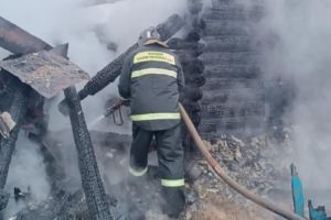 В Нижней Елюзани выгорели десятки метров в хозяйственном пристрое