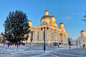 На Соборной площади в Пензе украсили елку