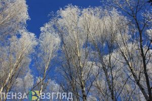 В Пензенской области сохранится аномально холодная погода
