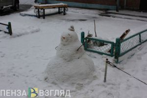 Ночью местами по Пензенской области 10 декабря ожидается -23 градуса
