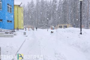 9 декабря в Пензенской области будет снег и мороз до 15 градусов