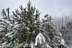 В Пензенской области сохраняется оранжевый уровень погодной опасности