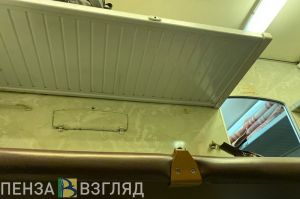 В новогодние праздники пензенцы смогут уехать в Москву на дополнительных поездах