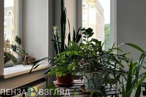 Стало известно, сколько лет пензенцам нужно копить на первый ипотечный взнос