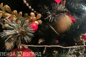 В Пензе к жителям Шуиста придут Дед Мороз и Снегурочка