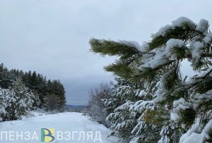 Пензенцы ощутят противоборство мощного антициклона и циклонического вихря
